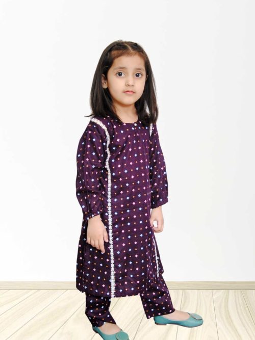 Plum 2 Piece Dress